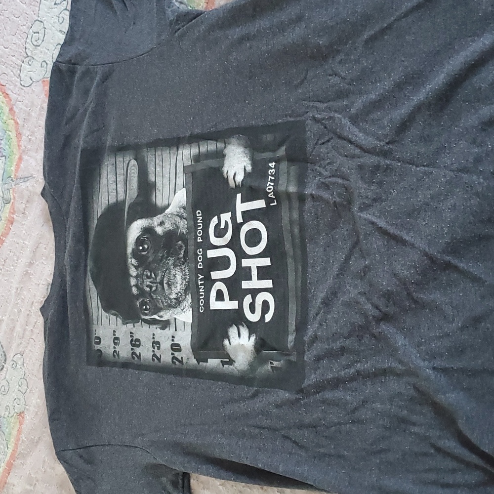 Fifthsun large grey teeshirt pug shot